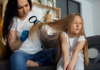 Tertular Kutu? Ternyata Ini Alasan Kutu Rambut Mudah Menular