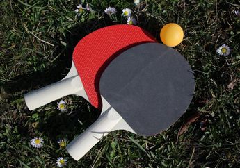 5 Teknik Dasar dalam Permainan Tenis Meja, Materi PJOK Kelas XI