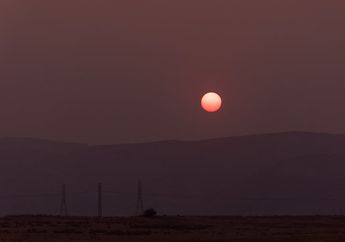 Hiasi Langit pada 21 Juli 2024, Seperti Apa Fenomena Buck Moon (Bulan Tanduk Rusa)?