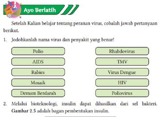 Jawab Soal Ayo Berlatih pada Bab 2: 'Virus dan Peranannya', IPA Kelas X