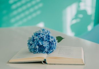 Pengertian Tembung Plutan serta Contohnya dalam Bahasa Jawa