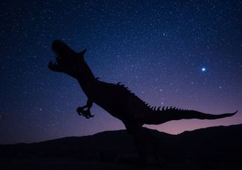 Dari Manakah Asal T-rex?