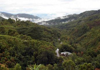Taman Nasional Kerinci Seblat