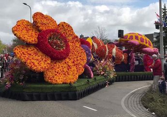 3 Negara Tulip