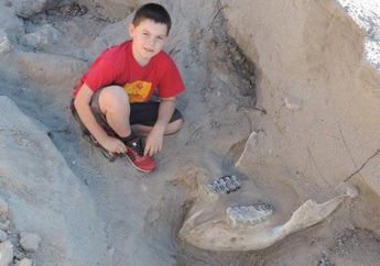 Fosil Stegomastodon Tak Sengaja Ditemukan oleh Anak Umur 9 Tahun