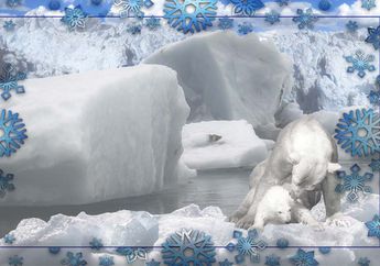Petualangan Snowy Si Anak Beruang Kutub
