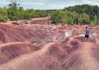 Bukit Merah di Cheltenham Badlands