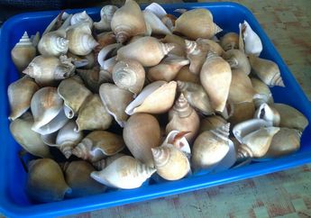 Menikmati Gonggong di Batam