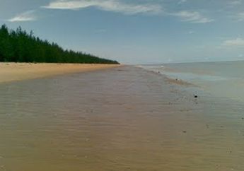 Keindahan Pantai dan Hutan di Pulau Selimpai