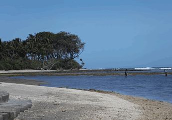 Penangkaran Penyu di Pantai Sindangkerta
