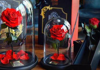 Forever Rose, Mawar yang Bisa Bertahan Selamanya!