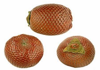 Aguaje, Kembaran Buah Salak yang Kaya Manfaat
