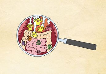 Ternyata, Perut Kita Dihuni Oleh Bakteri Baik dan Jahat