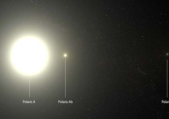 Polaris, Sang Bintang Kutub