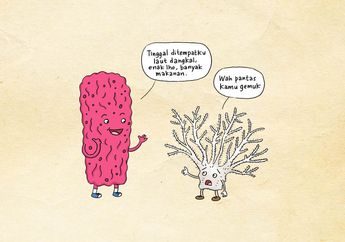 5 Fakta Unik Terumbu Karang