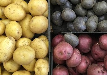 Inilah 5 Warna Kulit Kentang. Ada yang Berwarna Hijau, Lo!