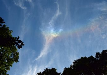 Wah, Ada Pelangi Api! Bagaimanakah Wujudnya?
