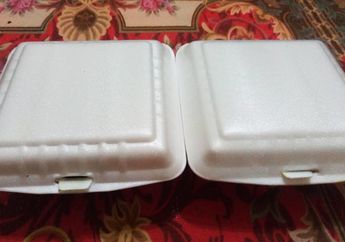 Apakah Aman Menyimpan Makanan di Dalam Styrofoam?