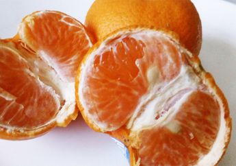 Mana yang Lebih Sehat, Makan Buah Jeruk, Jeruk Peras, atau Jus Jeruk?