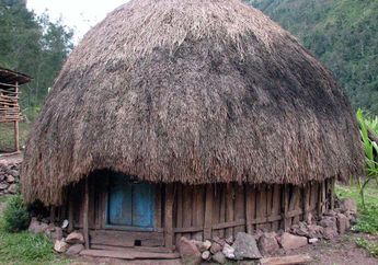Honai, Rumah Adat suku Dani Papua