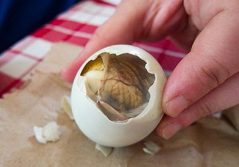 Balut, Makanan Ekstrem Khas Filipina