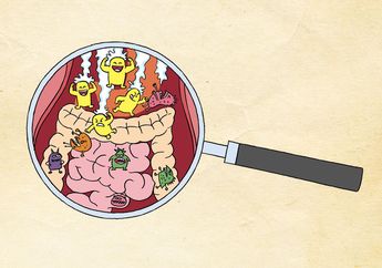 Apa Perbedaan Probiotik dan Prebiotik?