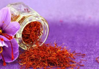 Safron, Rempah Termahal di Dunia