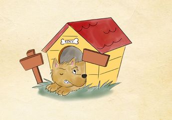 Apa yang Harus Dilakukan Saat Anjing Menyerang Kita?