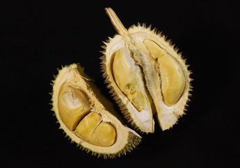 Tempoyak, Olahan Durian yang Lezat