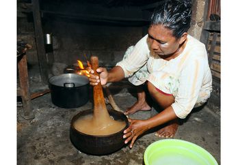 Makanan Pokok di Beberapa Daerah Indonesia
