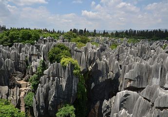 Shilin Stone Forest, Hutan Batu di Yunnan