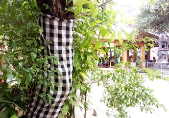 Makna Kain Hitam Putih dalam Budaya Bali