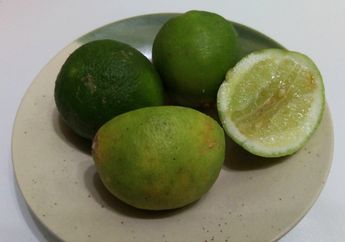 Serba-serbi Larutan Jeruk Nipis Kecap Manis