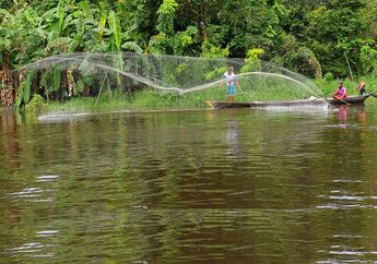 Danau Sentarum, Danau Berlimpah Ikan