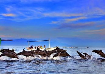 Ternyata, Beberapa Hewan Suka Tidur dengan Mata Terbuka Sebelah