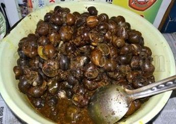 Keong Sawah, Makanan Lezat yang Sangat Bergizi