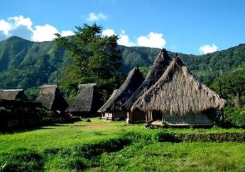 Berkunjung ke Kampung Adat Wologai di Flores, Yuk!
