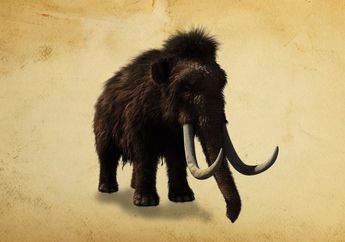 Mammoth, Gajah Purba Berbulu