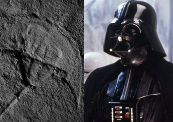 Wah, Fosil Ini Mirip Darth Vader, lo!