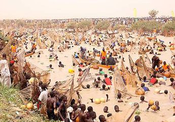 Festival Argungu, Festival Nelayan di Nigeria