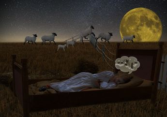 Benarkah Menghitung Domba Bisa Membuat Kita Cepat Tertidur?