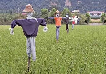 Orang-orangan Sawah, Teman Petani