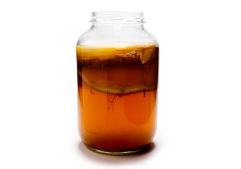 Mengenal Kombucha, Minuman Teh Fermentasi dari Tiongkok
