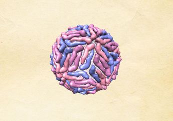 Inilah 4 Virus Mematikan di Dunia