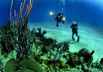 Ternyata, Begini Cara Wisata Bahari yang Tidak Merusak Alam