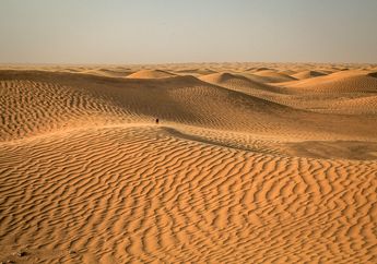 Fakta Seru Gurun Sahara, Gurun Pasir Terluas di Dunia