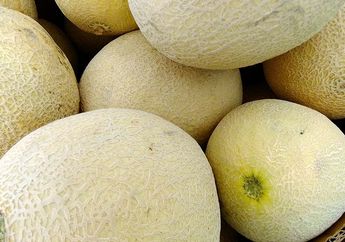 Ternyata, 3 Makanan Ini Tidak Boleh Disimpan di Kulkas
