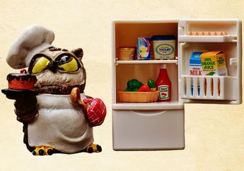 Berapa Lama Makanan Bisa Disimpan di Kulkas?