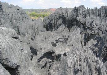 Tsingy de Bemaraha, Hutan Batu di Madagaskar
