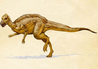 Serba-serbi Dinosaurus